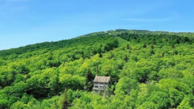 Photo of 27 Acres of Pure Potential