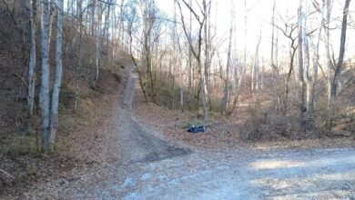 Photo of 181 Acres with Road Access in Ashford, West Virginia