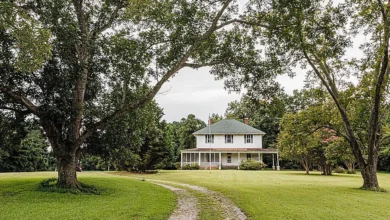 Photo of Love the long driveway! Fixer upper alert! Over two acres in North Carolina. $129,900