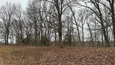Photo of 46 Acres Available for Lease in Waddy, Kentucky