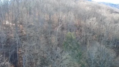 Photo of Extraordinary 181.04-Acre Auction Opportunity with Utility Access and Long