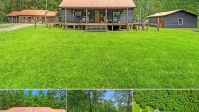 Photo of Spacious 120-Acre Homestead Estate in Marion, South Carolina