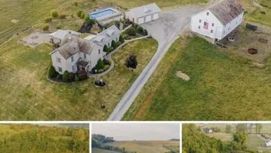 Photo of Peaceful 95-Acre Farm Offering Pond and Open Land