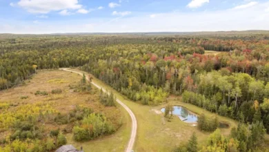 Photo of Quarter-Share Ownership Opportunity on 190 Acres with Cabin, Pond, and Prime Hunting Land